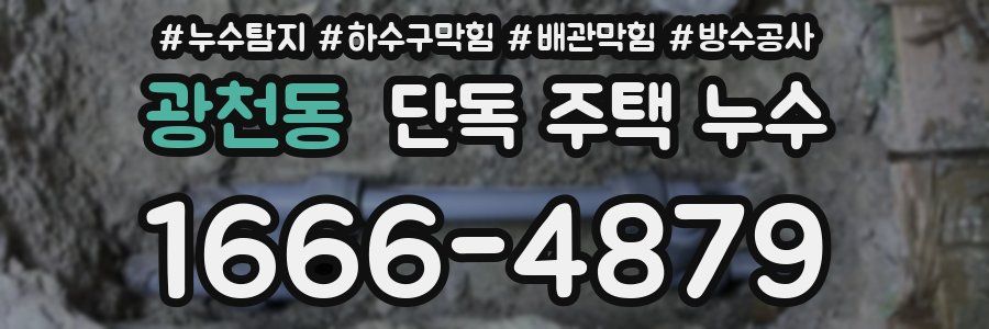 광천동 단독 주택 누수