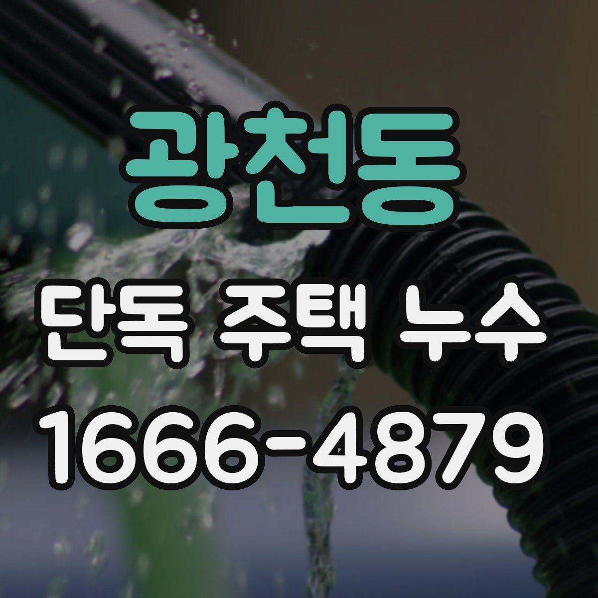 광천동 단독 주택 누수