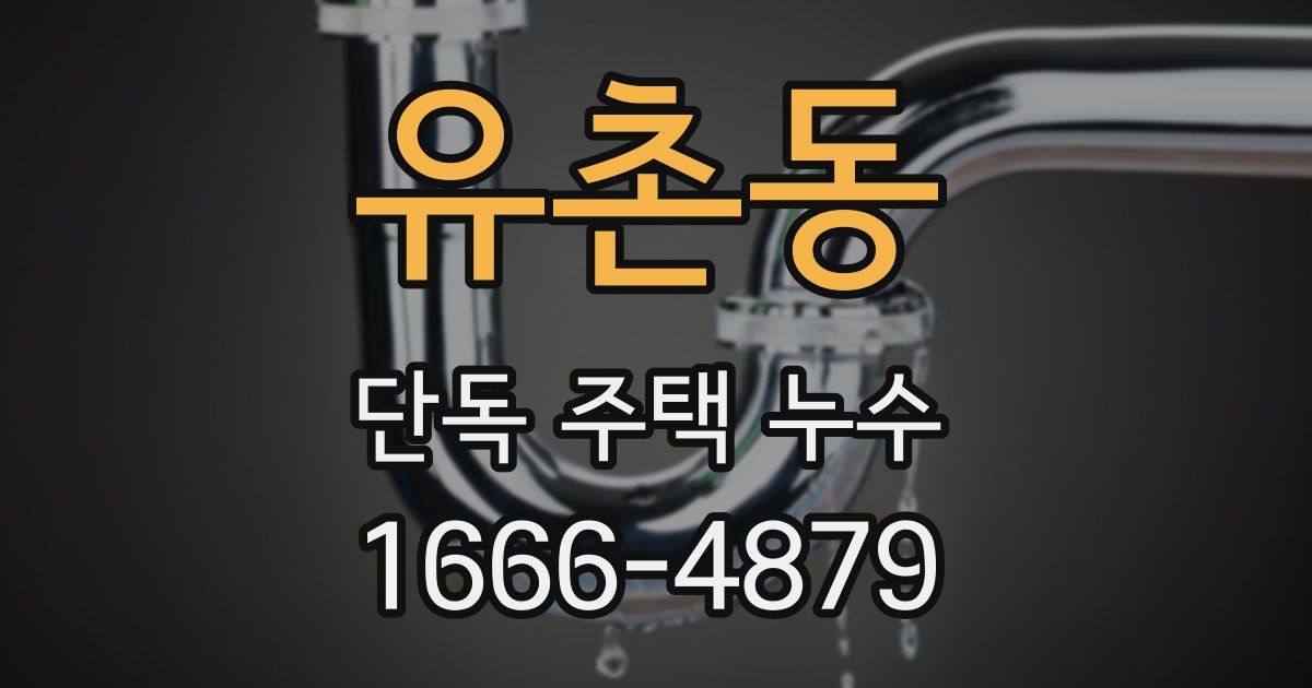 유촌동 단독 주택 누수