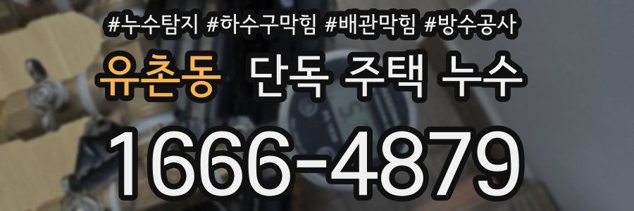 유촌동 단독 주택 누수