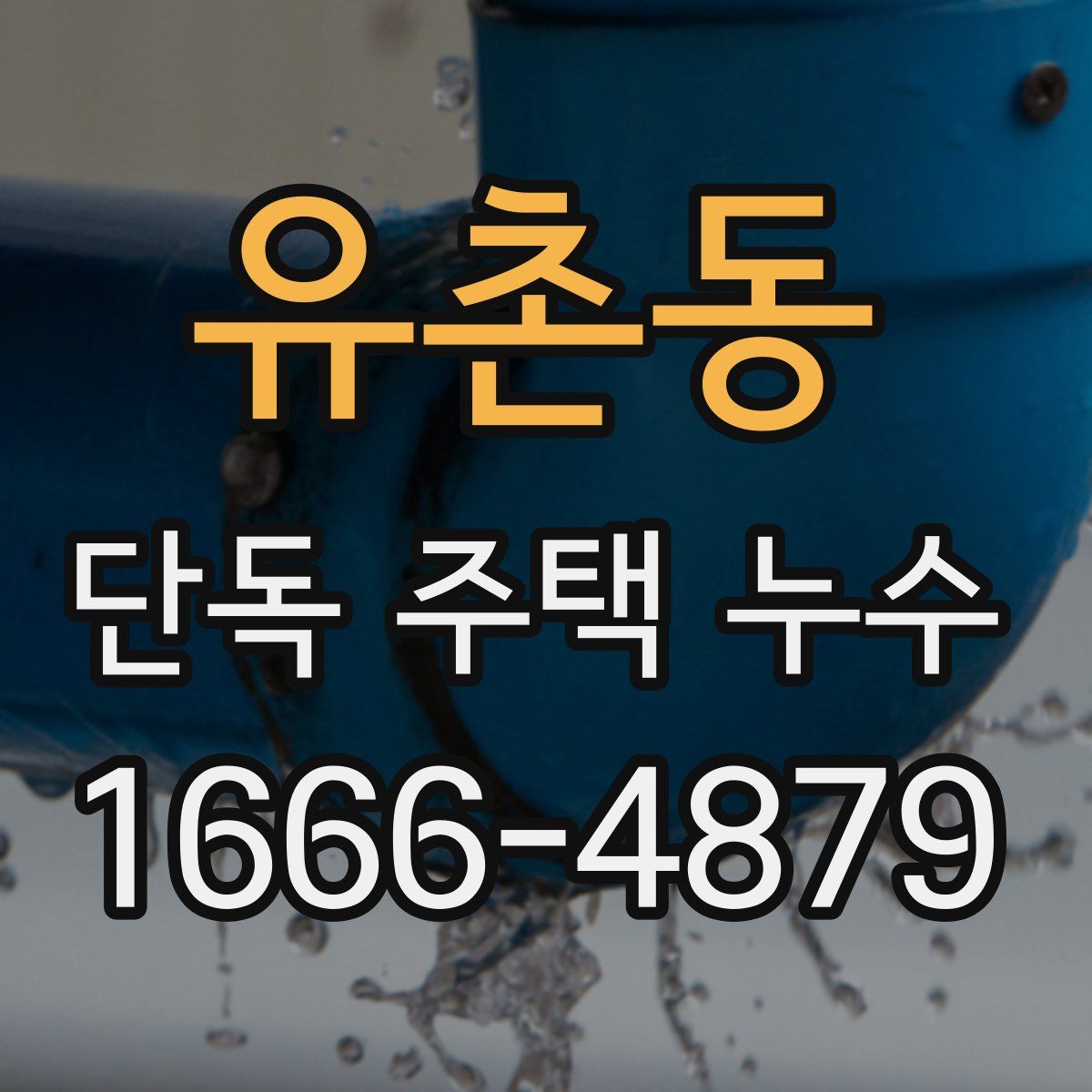 유촌동 단독 주택 누수