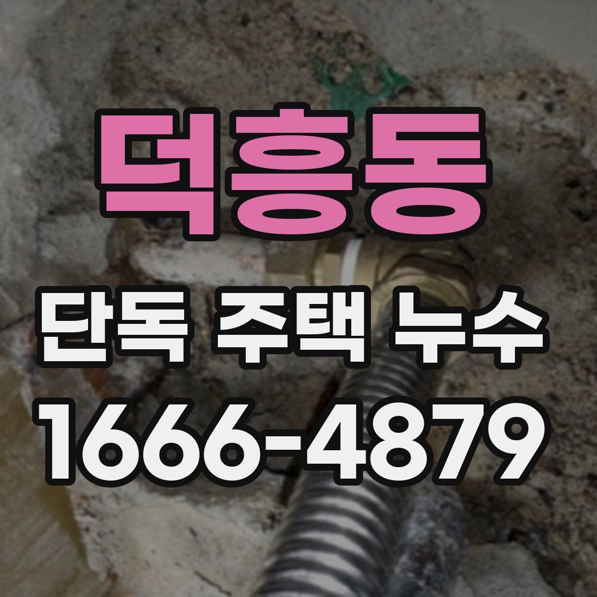 덕흥동 단독 주택 누수
