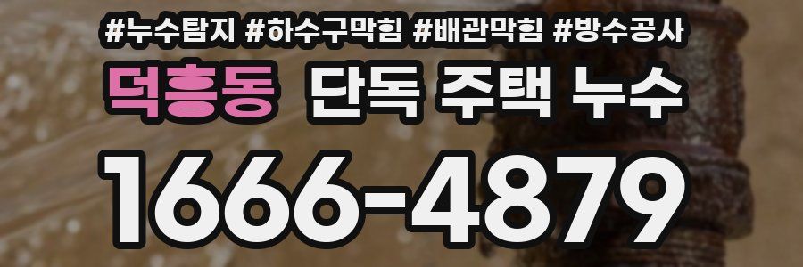 덕흥동 단독 주택 누수