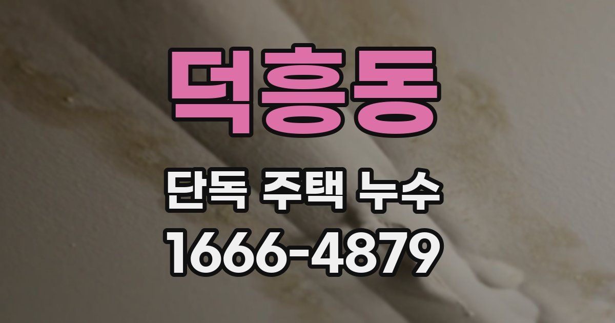 덕흥동 단독 주택 누수