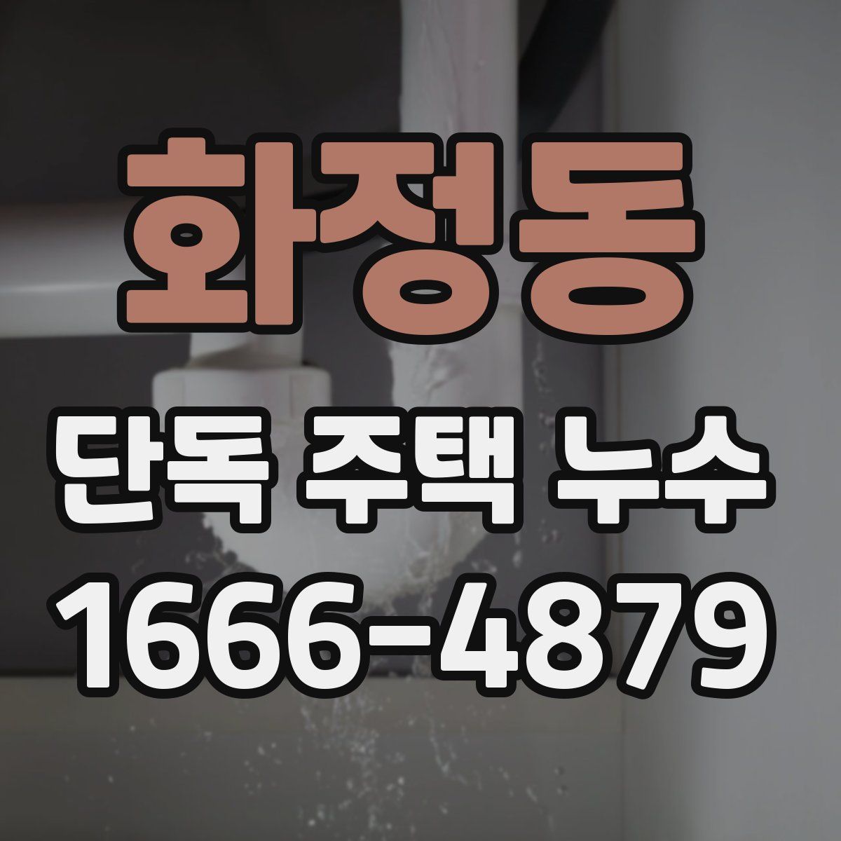 화정동 단독 주택 누수