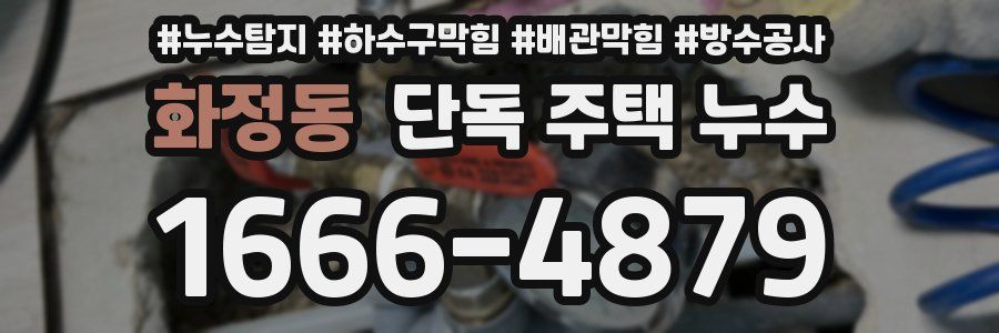화정동 단독 주택 누수
