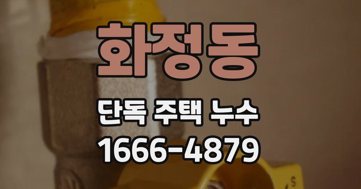 화정동 단독 주택 누수