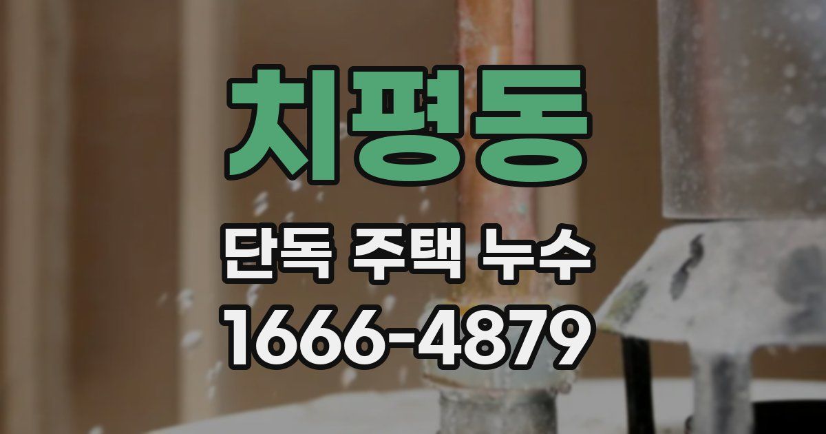 치평동 단독 주택 누수