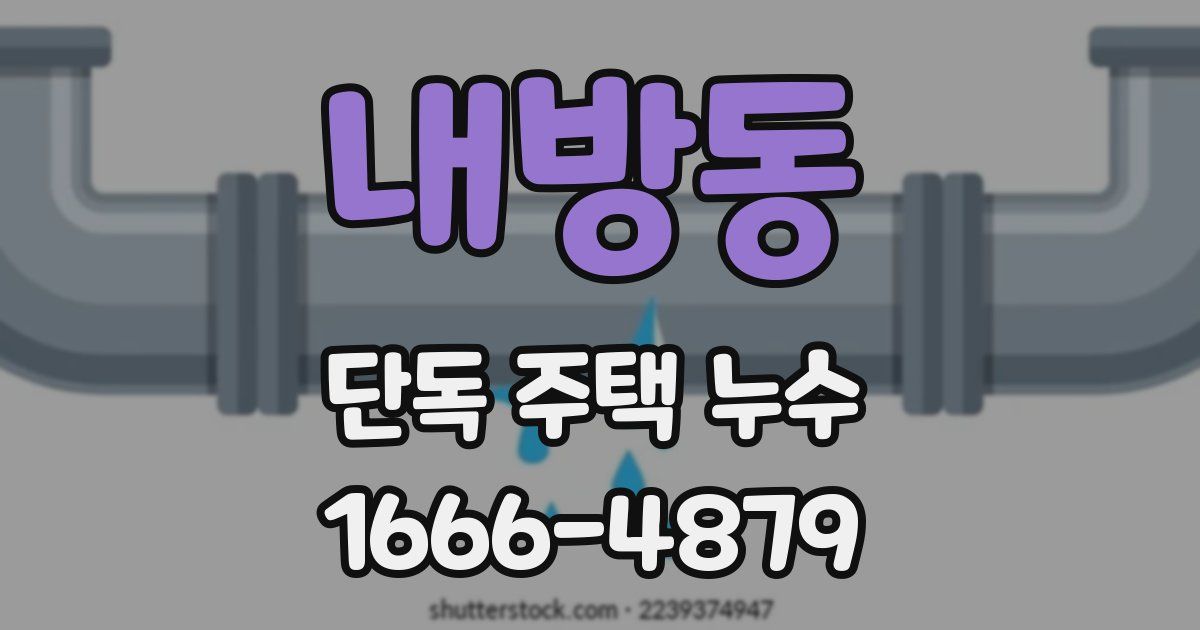내방동 단독 주택 누수