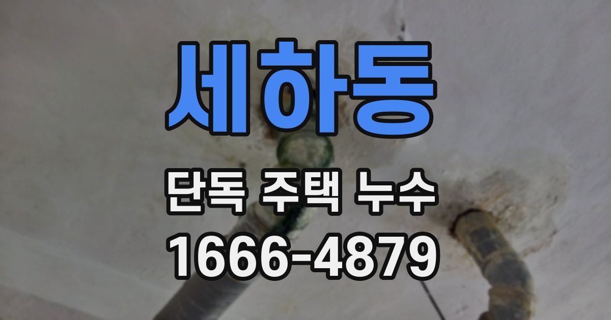 세하동 단독 주택 누수