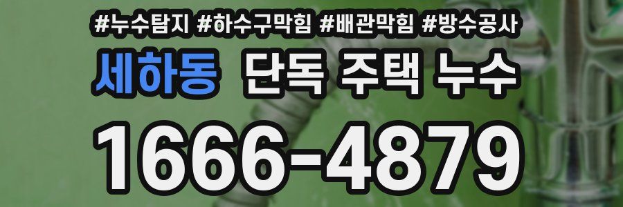 세하동 단독 주택 누수