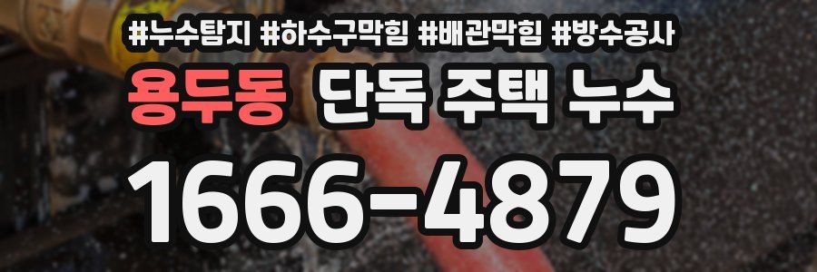 용두동 단독 주택 누수