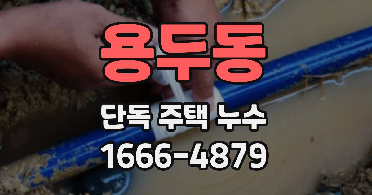 용두동 단독 주택 누수