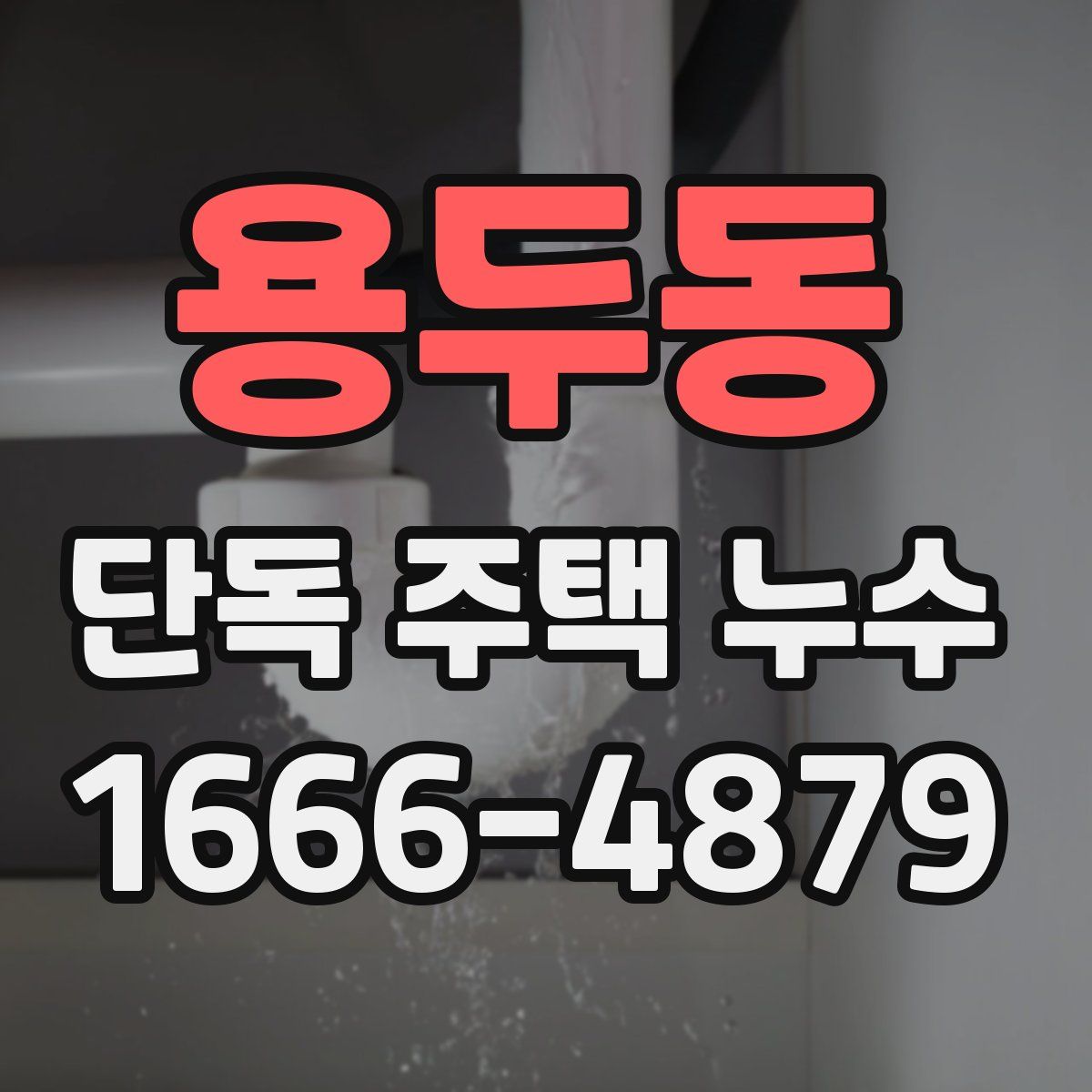 용두동 단독 주택 누수