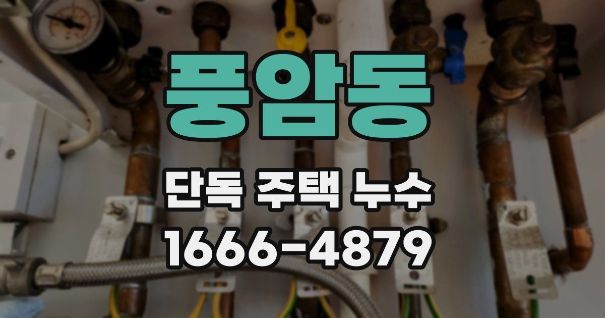 풍암동 단독 주택 누수
