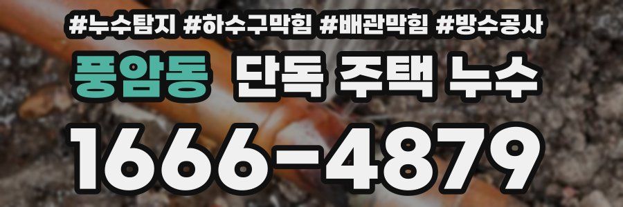 풍암동 단독 주택 누수