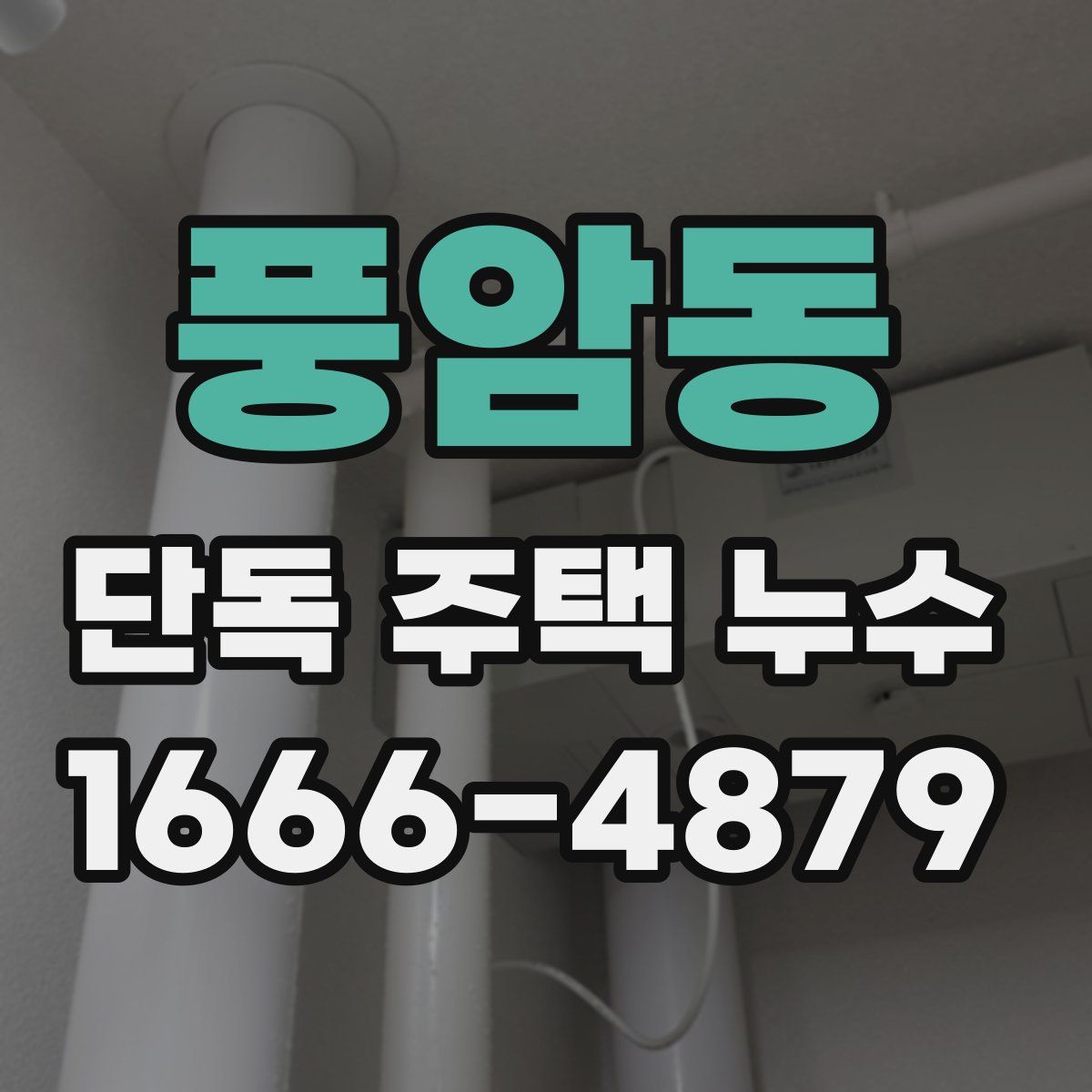 풍암동 단독 주택 누수