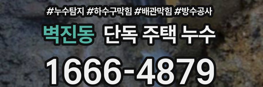 벽진동 단독 주택 누수