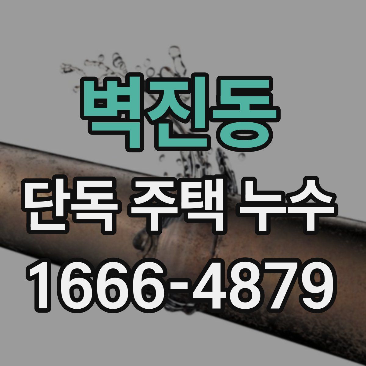 벽진동 단독 주택 누수