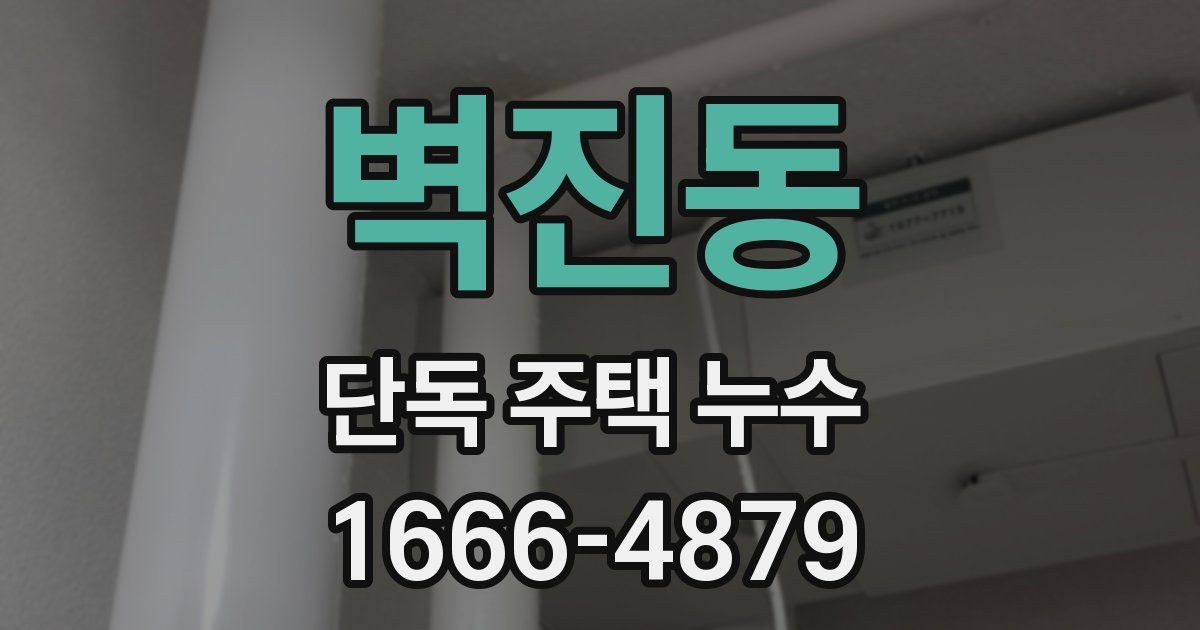 벽진동 단독 주택 누수