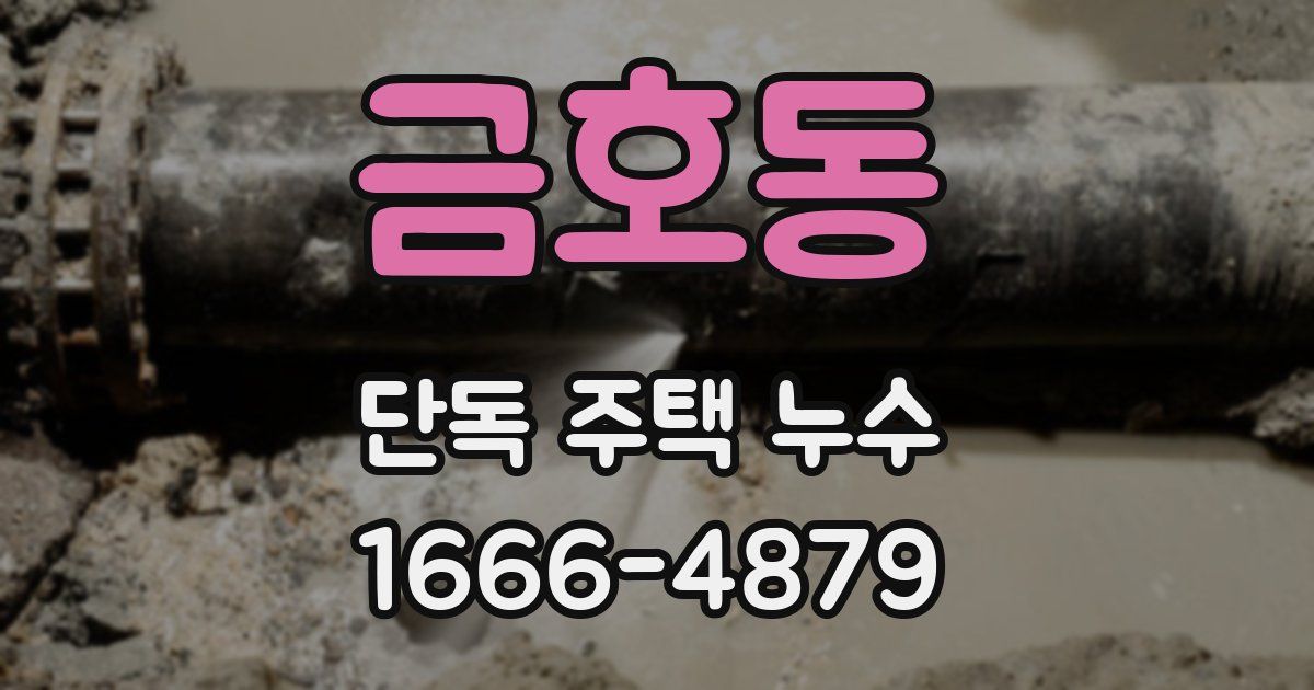 금호동 단독 주택 누수