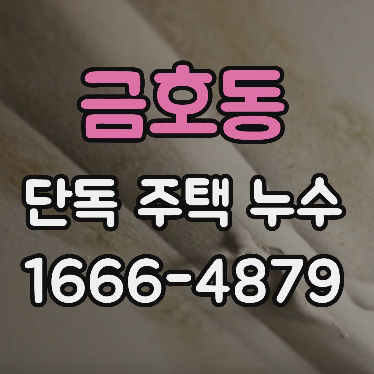 금호동 단독 주택 누수
