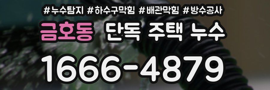 금호동 단독 주택 누수