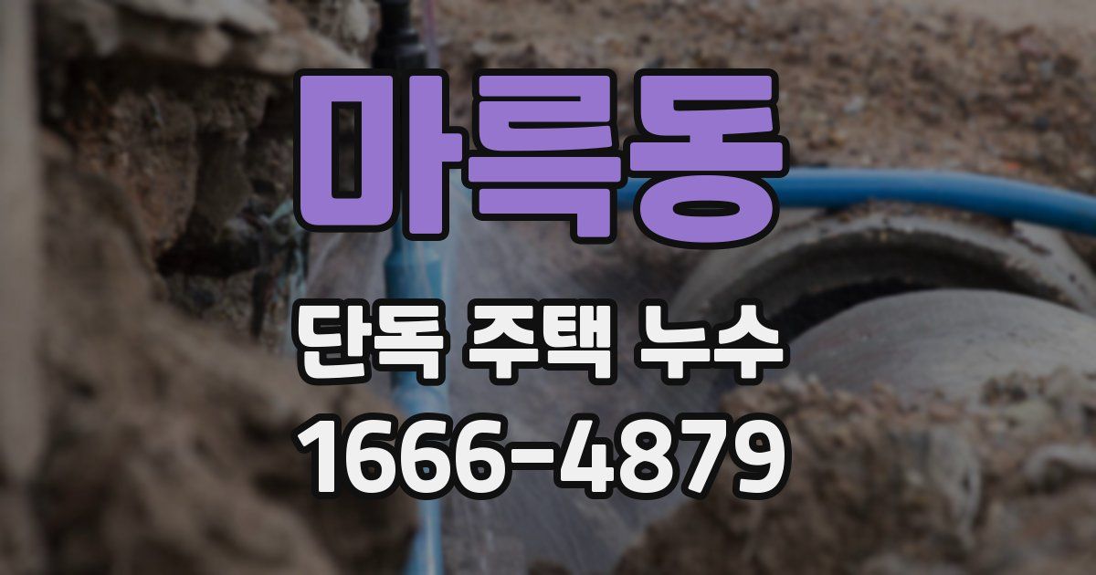 마륵동 단독 주택 누수