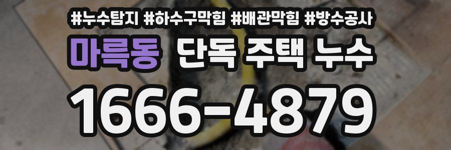 마륵동 단독 주택 누수