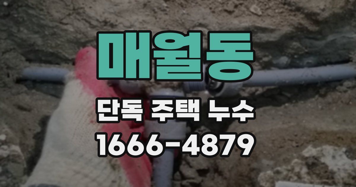매월동 단독 주택 누수
