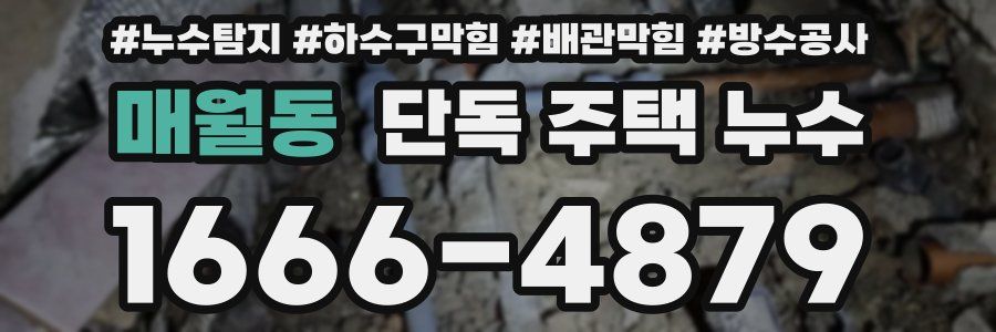 매월동 단독 주택 누수