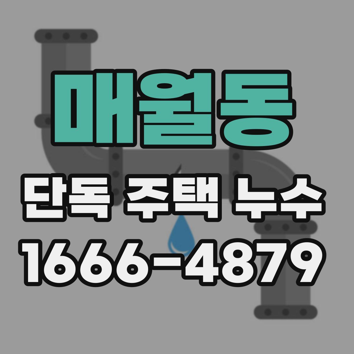매월동 단독 주택 누수