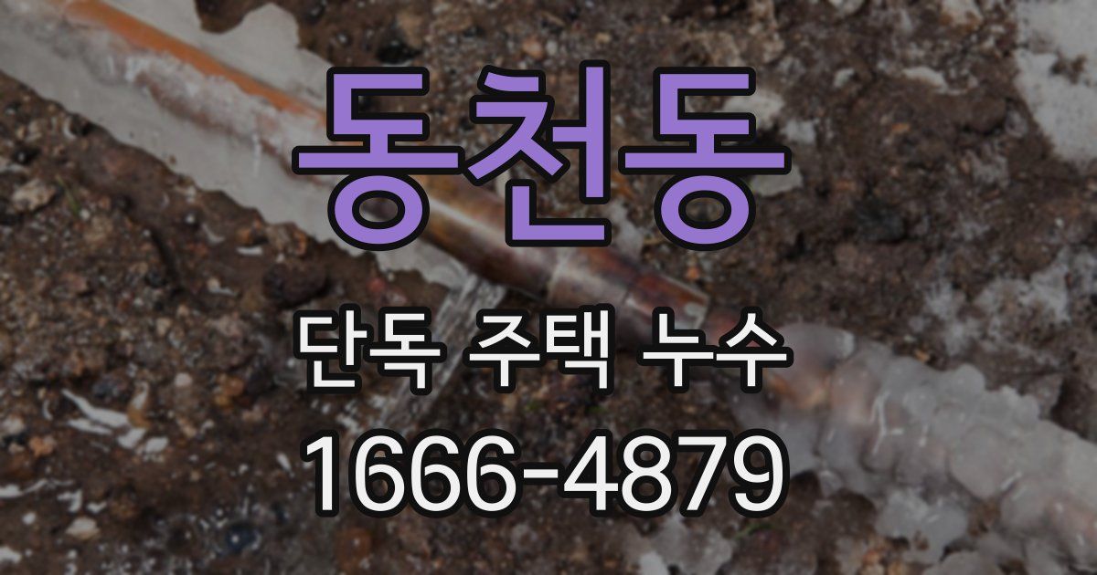 동천동 단독 주택 누수