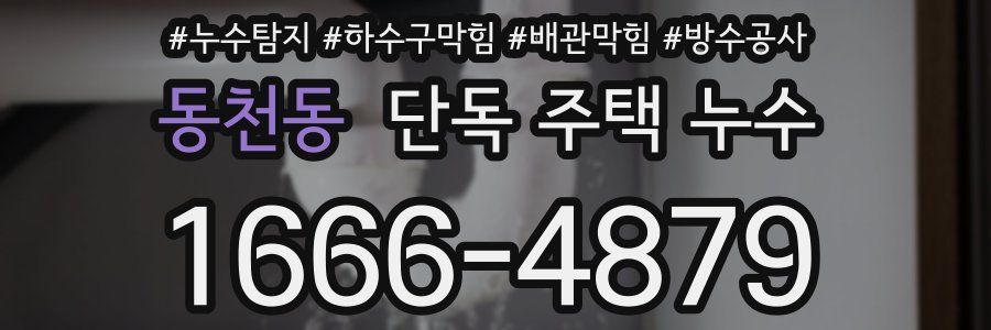 동천동 단독 주택 누수
