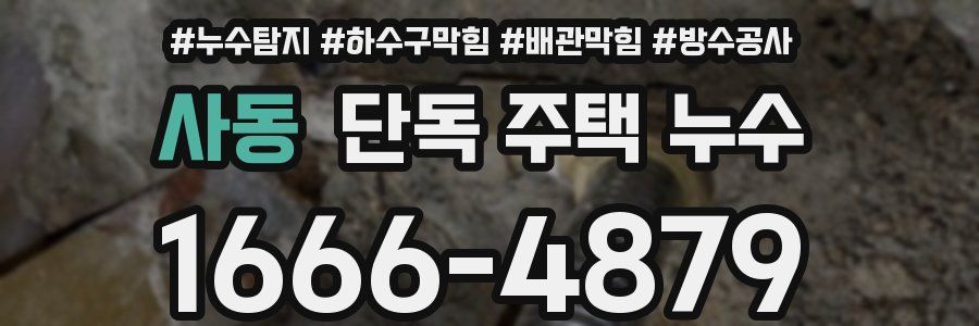 사동 단독 주택 누수
