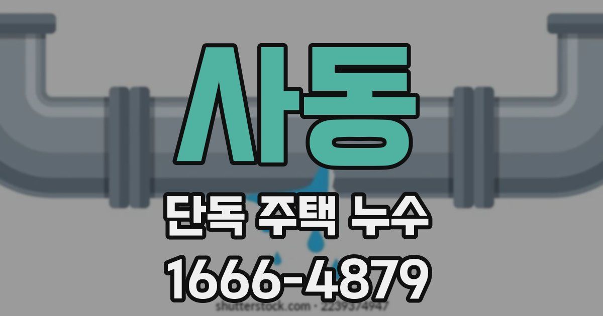 사동 단독 주택 누수