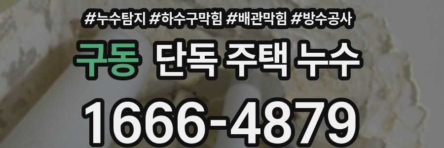 구동 단독 주택 누수