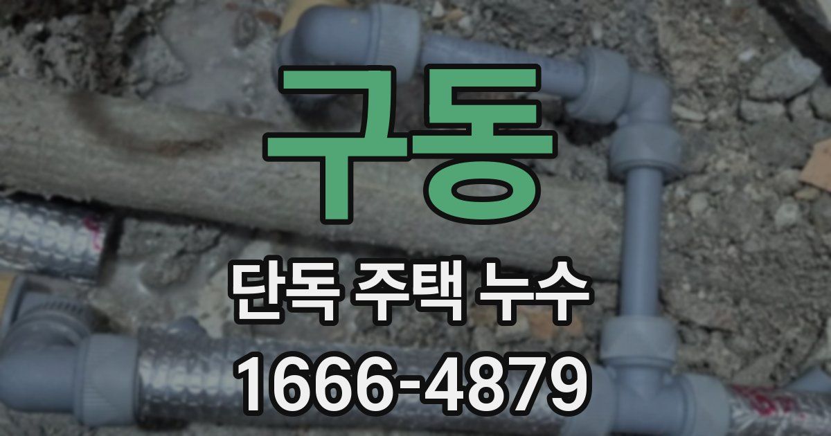 구동 단독 주택 누수
