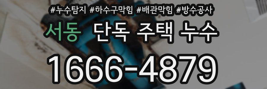 서동 단독 주택 누수