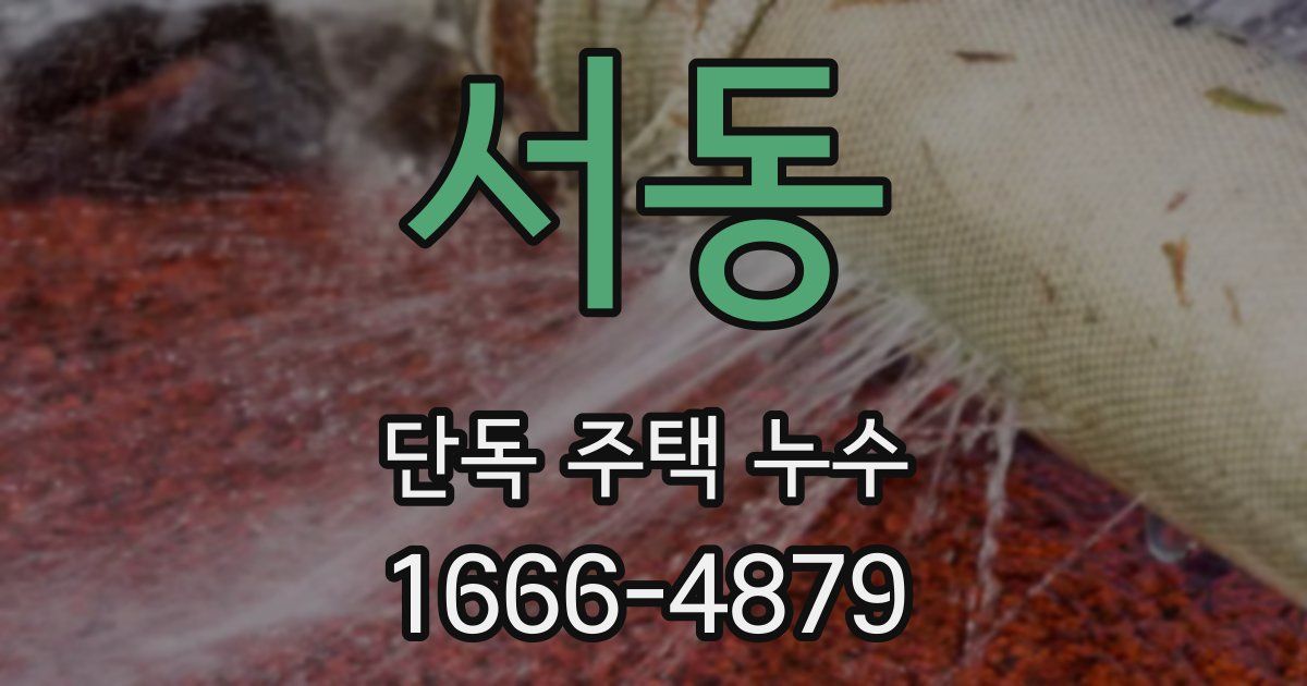 서동 단독 주택 누수