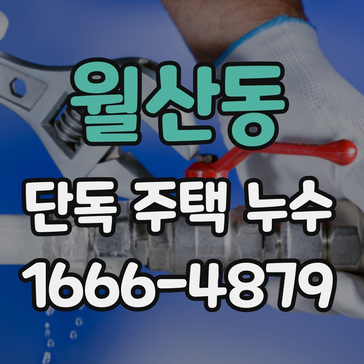 월산동 단독 주택 누수