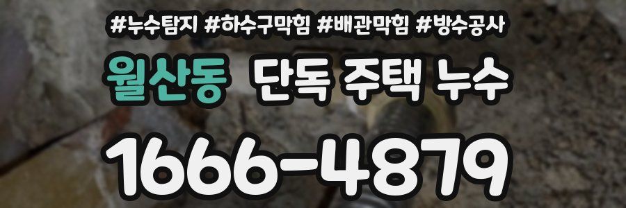 월산동 단독 주택 누수