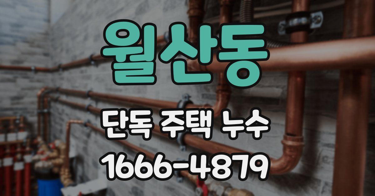 월산동 단독 주택 누수