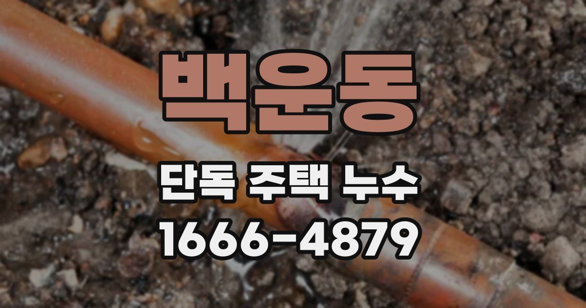 백운동 단독 주택 누수