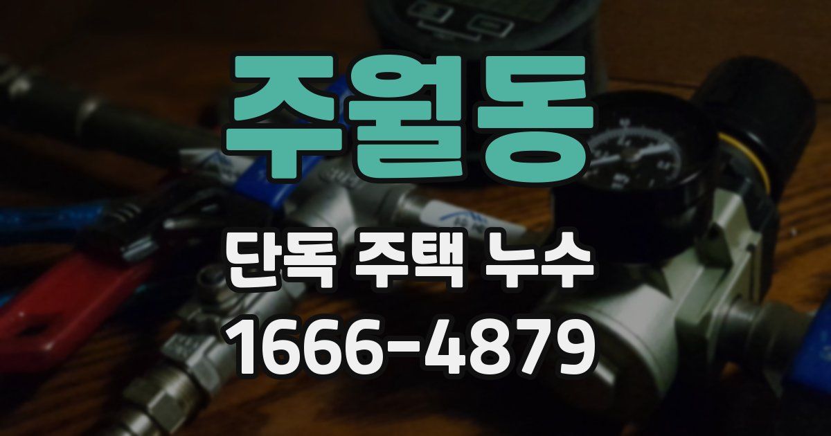 주월동 단독 주택 누수
