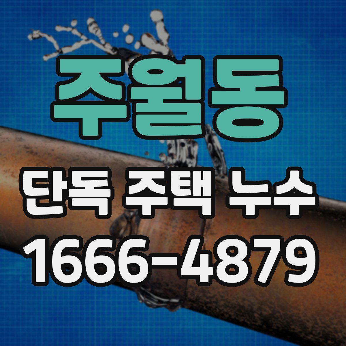 주월동 단독 주택 누수