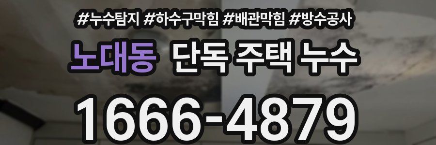 노대동 단독 주택 누수
