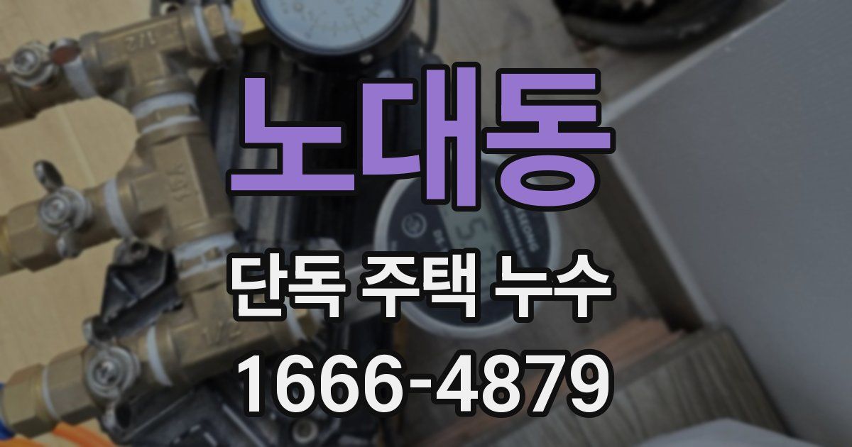 노대동 단독 주택 누수