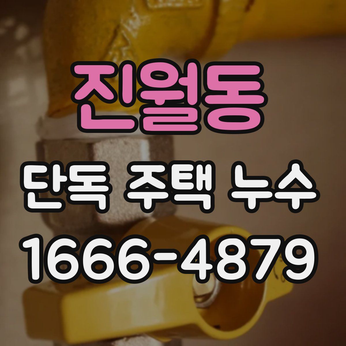 진월동 단독 주택 누수