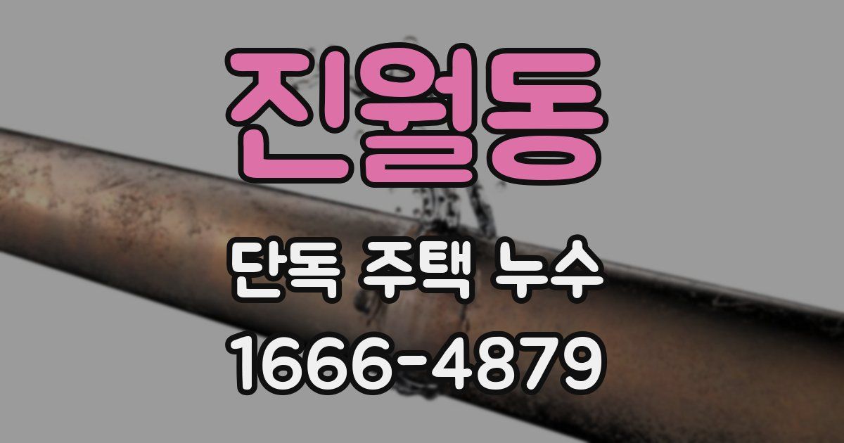 진월동 단독 주택 누수